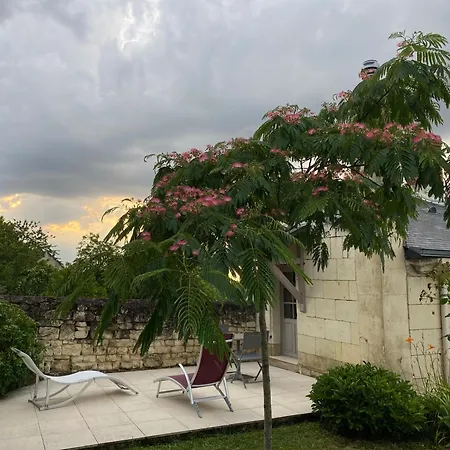 Logis Huit Clos Calme Et Romantique Proche Saumur Le Coudray-Macouard Exterior photo